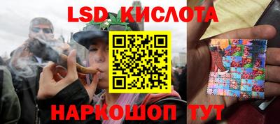 шишки Лесосибирск