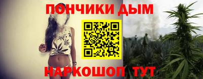 шишки Лесосибирск